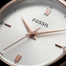 Silver Radiance Crystal Watch – Two-Tone Luxe Edition