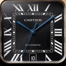 Royal Gold Square Automatic Roman Dial Steel Watch